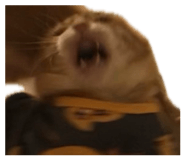 841767610
