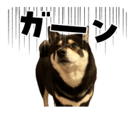 841768066