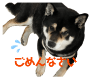 841768067