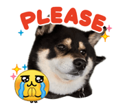 841768070