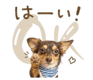 841768108