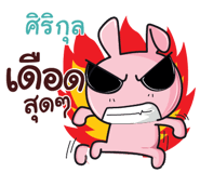 841774512