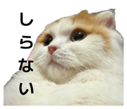 841775274
