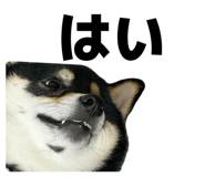 841776202
