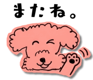 841777224