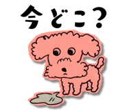 841777225