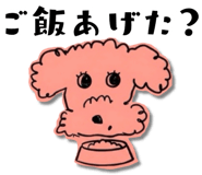 841777231