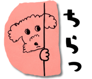 841777240