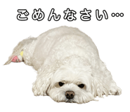 841778681
