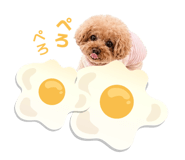 841780942