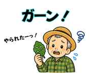 841781176
