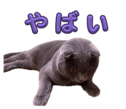 841790365