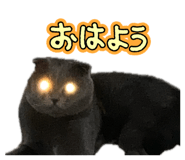 841790366