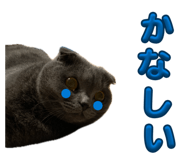 841790374