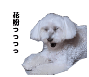841790863