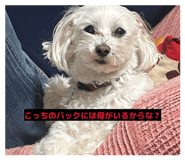 841790866