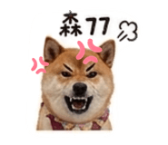 841790942