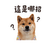 841790950