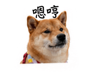 841790956