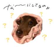 841791338