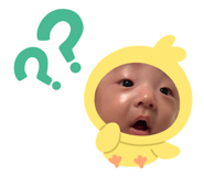841791733
