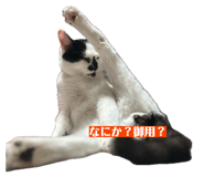 841791833