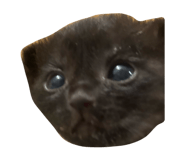 841791889