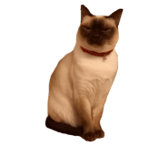 841791893