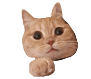 841791894