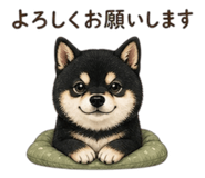 841792024