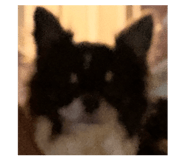 841792880