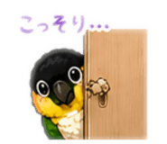 841793116