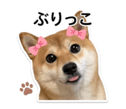 841793196