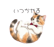 841793257