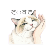 841793306