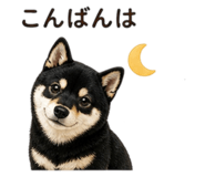 841793387