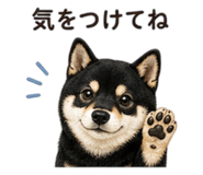841793395