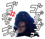 841799626