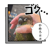 841799635