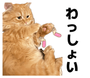 841799741