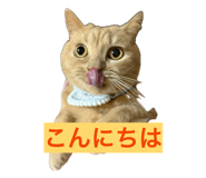 841799938