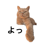 841799939