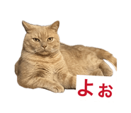 841799942