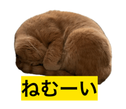 841799943