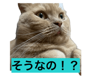 841799945