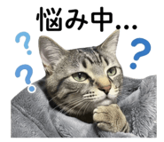 841799994