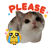 841800083