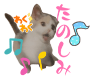 841800098