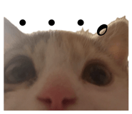 841800111