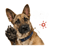 841800490